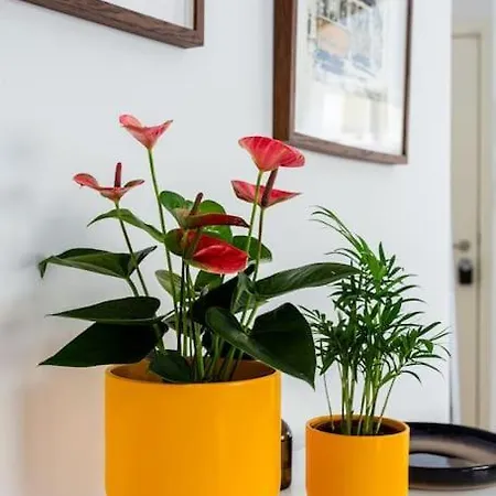 Apartamento Campo De Ourique Modern